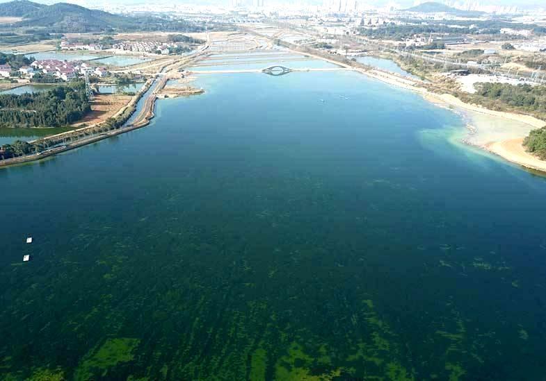 江西省新余市龙须沟水环境提升项目